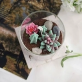 🌵 Succulent & Cactus thumb 1