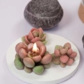 🌵 Succulent & Cactus thumb 4