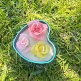 🌹 Mini Rose thumb 3