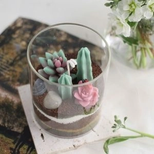 🌵 Succulent & Cactus