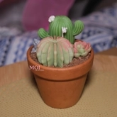 🌵 Succulent & Cactus Candle Workshop 🌱 thumb 2
