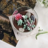 🌵 Workshop Nến Xương Rồng & Sen Đá 🌱 thumb 1