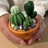 🌵 Workshop Nến Xương Rồng & Sen Đá 🌱 thumb 4