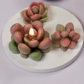 🌵 Workshop Nến Xương Rồng & Sen Đá 🌱 thumb 5