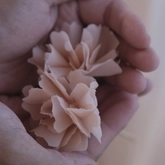 🌸 Carnation Lover Workshop ✨ thumb 4