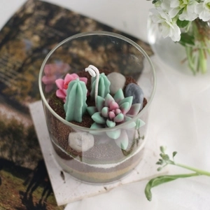 🌵 Workshop Nến Xương Rồng & Sen Đá 🌱