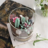 🌵 Succulent & Cactus Candle Workshop 🌱 thumb 2