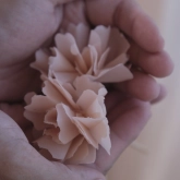 🌸 Carnation Lover Workshop ✨ thumb 2