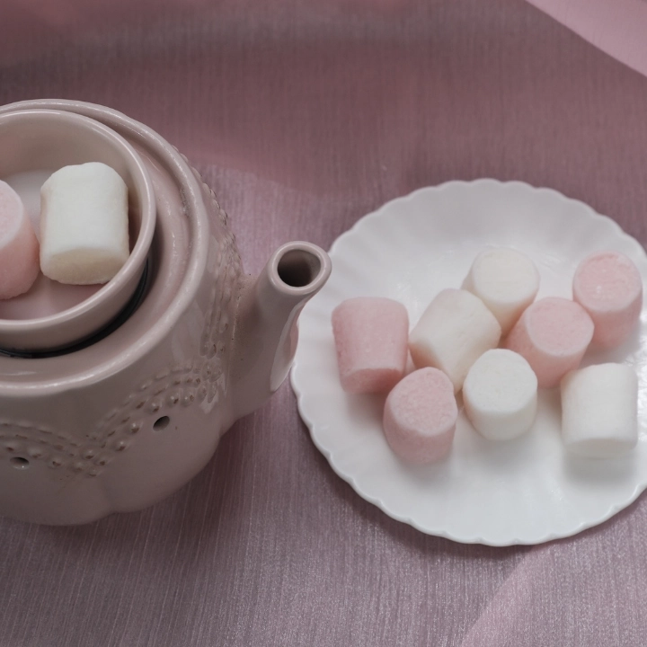 Wax Melt Mashmallow