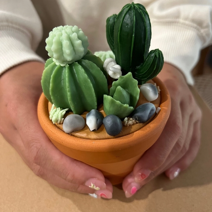 🌵 Succulent & Cactus Candle Workshop 🌱