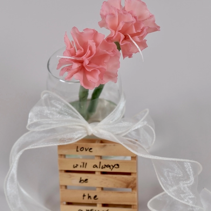 🌸 Carnation Lover Workshop ✨